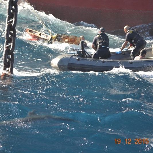 Brutal! Hai tötet Schiffbrüchigen bei Rettungsaktion
