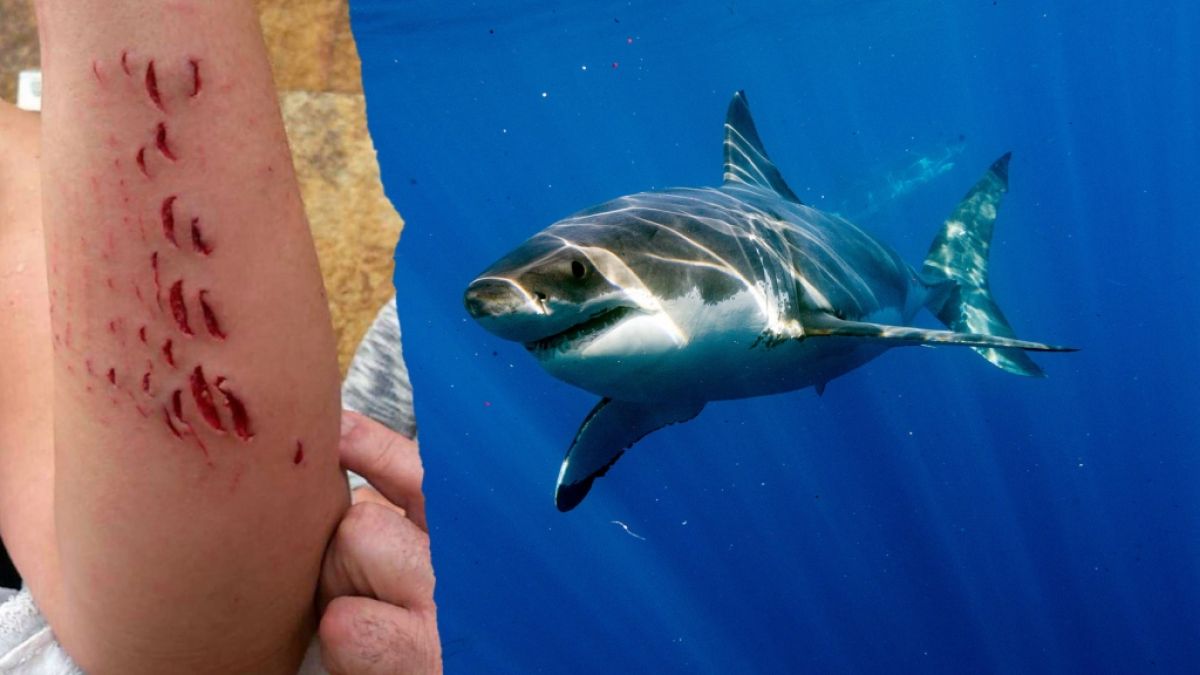 An einem Strand auf Gran Canaria hat ein Hai eine Touristin angegriffen. (Foto)