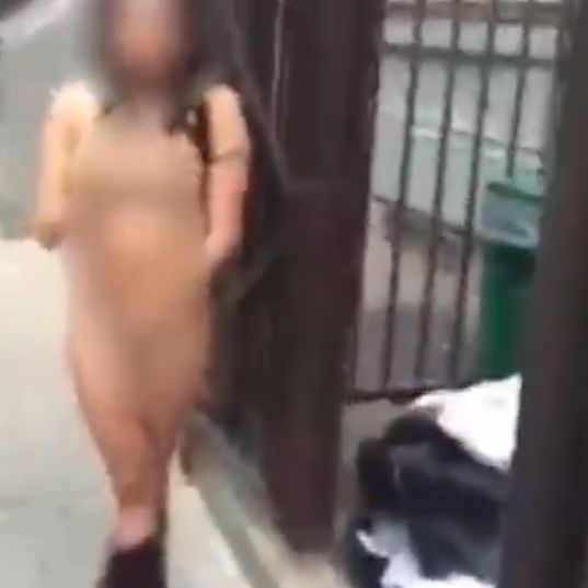 Frau muss nackt durch New York laufen