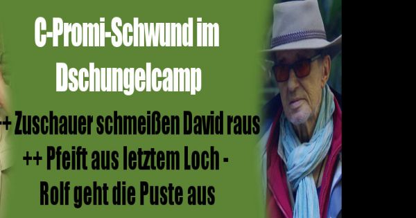 Wiederholung Dschungelcamp Wiederholung Dschungelcamp