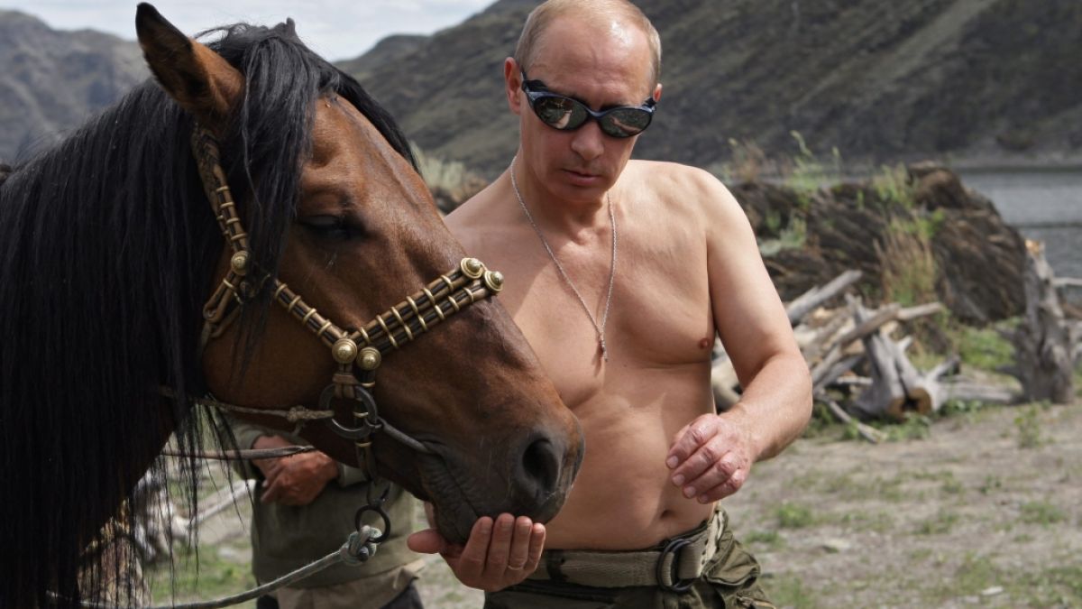 Wladimir Putin ist ein ganzer Kerl. (Foto)