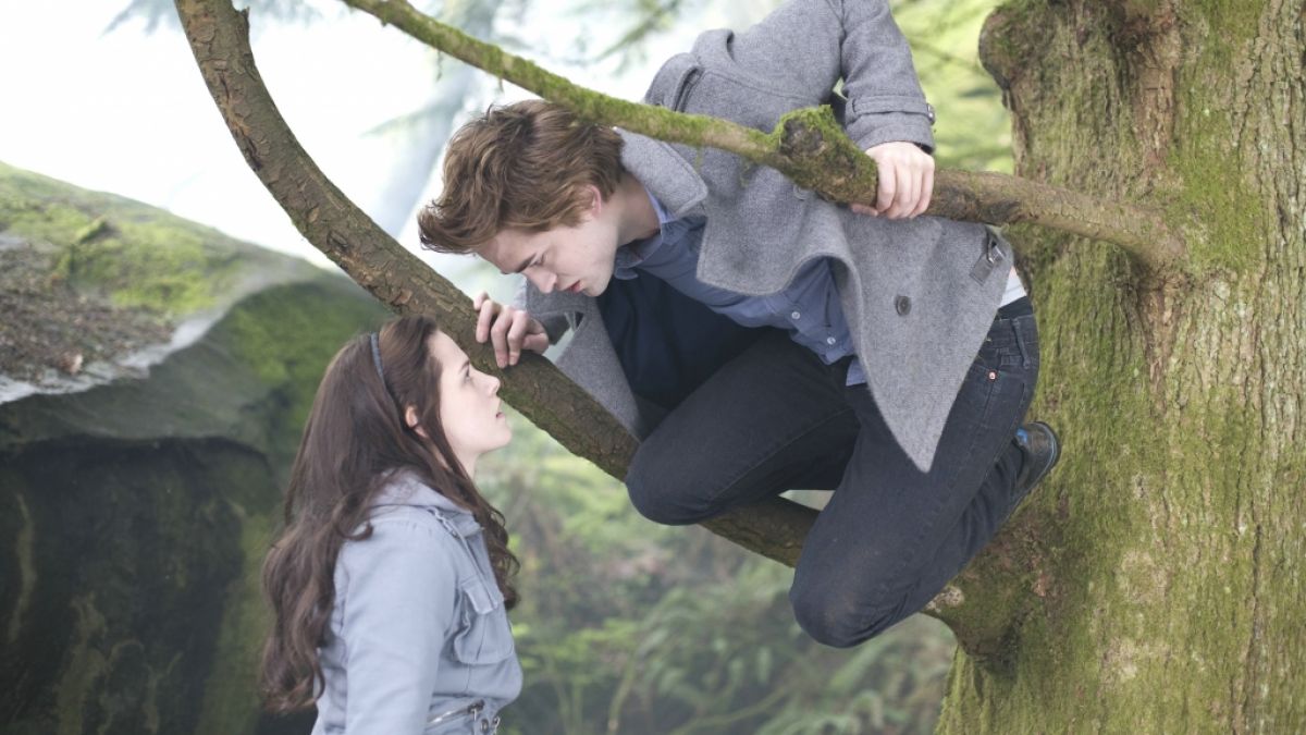 "Twilight - Biss zum Morgengrauen" zieht Fantasy-Fans ins seinen Bann. (Foto)