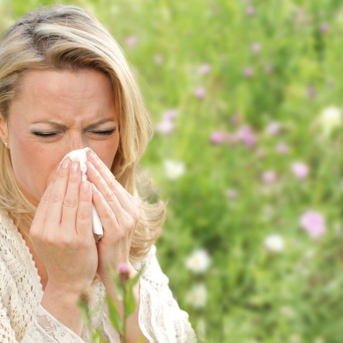 Heuschnupfen und Allergien: Diese Medikamente helfen Ihnen gegen Pollen Heuschnupfen und Allergien: Diese Medikamente helfen Ihnen gegen Pollen (Foto)