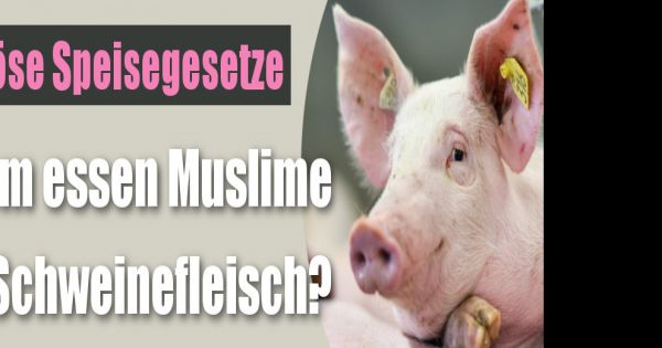 Speisegesetze in Religionen: Das Schweinefleisch-Verbot im Islam ist