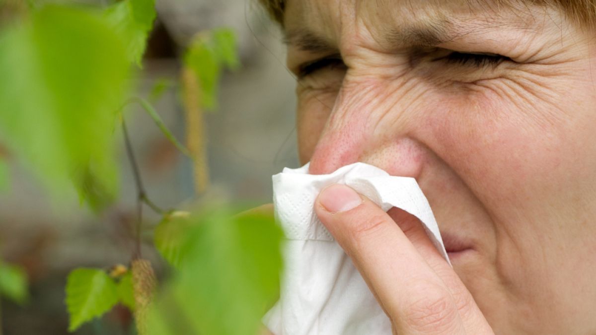Eine Frau mit Heuschnupfen und Taschentuch vor ihrer Nase. Für Heuschnupfengeplagte beginnt nun eine lange Leidenszeit. (Foto)