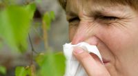 Eine Frau mit Heuschnupfen und Taschentuch vor ihrer Nase. Für Heuschnupfengeplagte beginnt nun eine lange Leidenszeit.