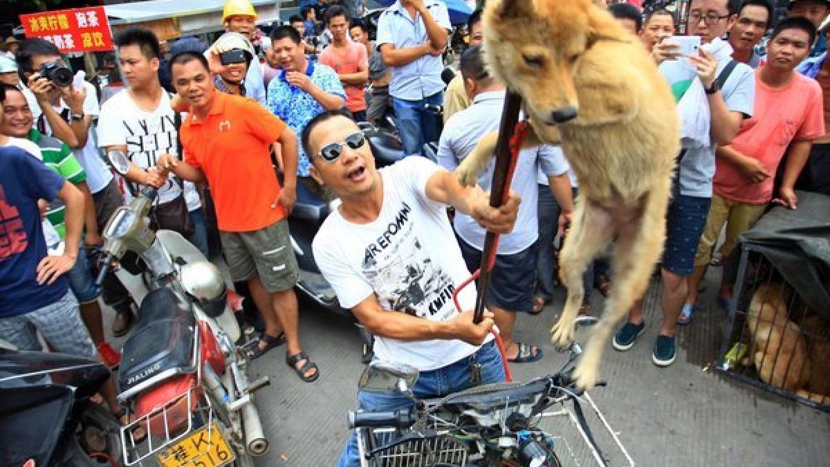 Ein Händler zeigt seine Ware. Dieser Tier wird bald von den Zuschauern verspeist. (Foto)