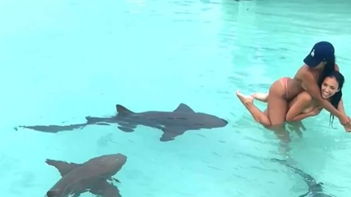 Sonderbarer Badespaß: Models gehen mit Haien schwimmen. (Foto)