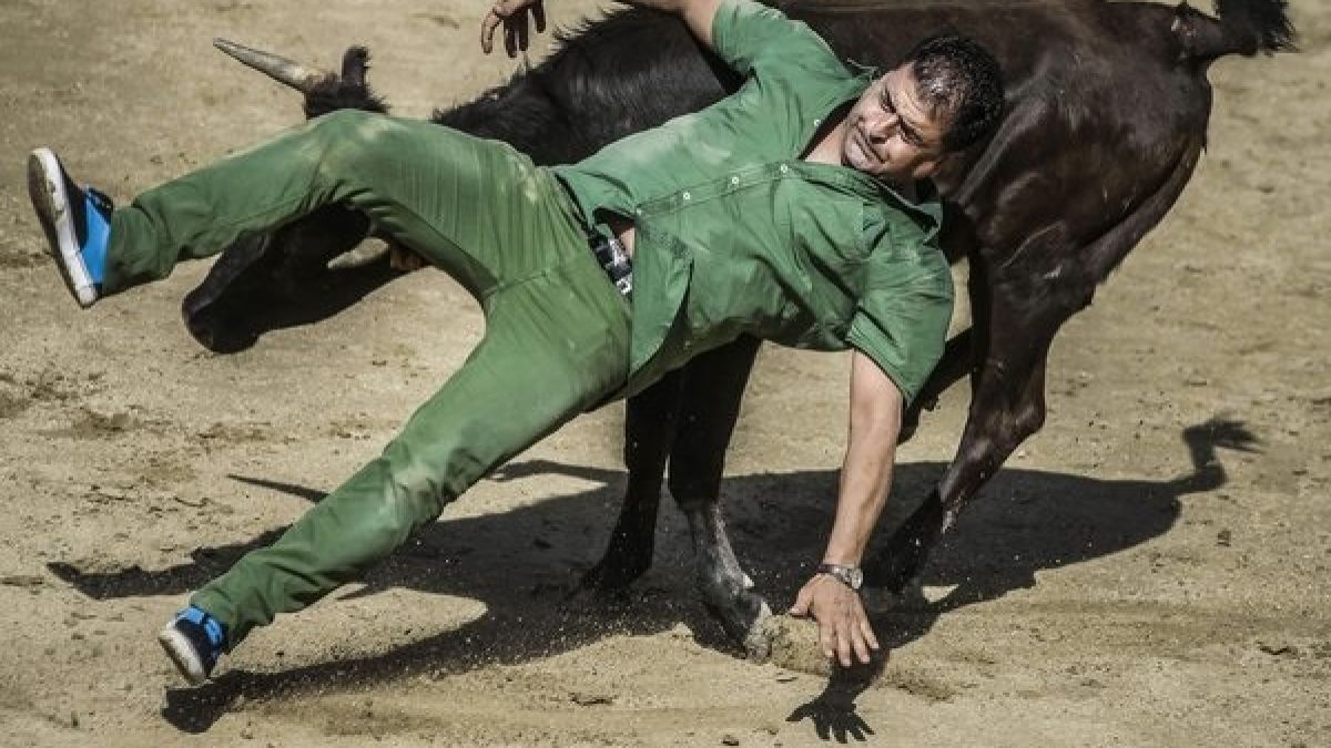 Ein Mann wird beinahe von einem Stier aufgespießt. (Foto)