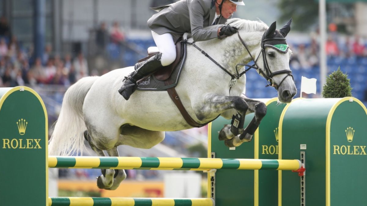 Olympia Reiten 2016 Live Stream Und Tv Ludger Beerbaum Tritt Aus Deutscher Nationalmannschaft Zuruck News De