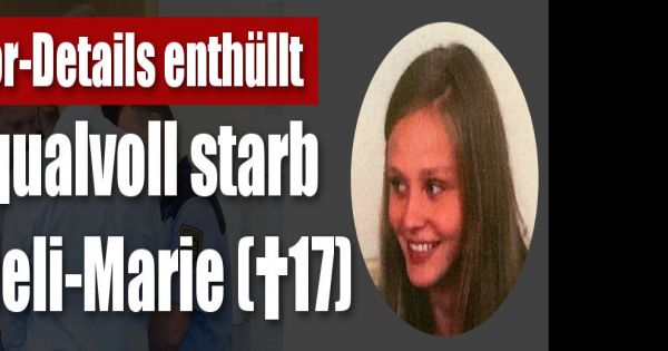 Der Fall Anneli Der Fall Anneli