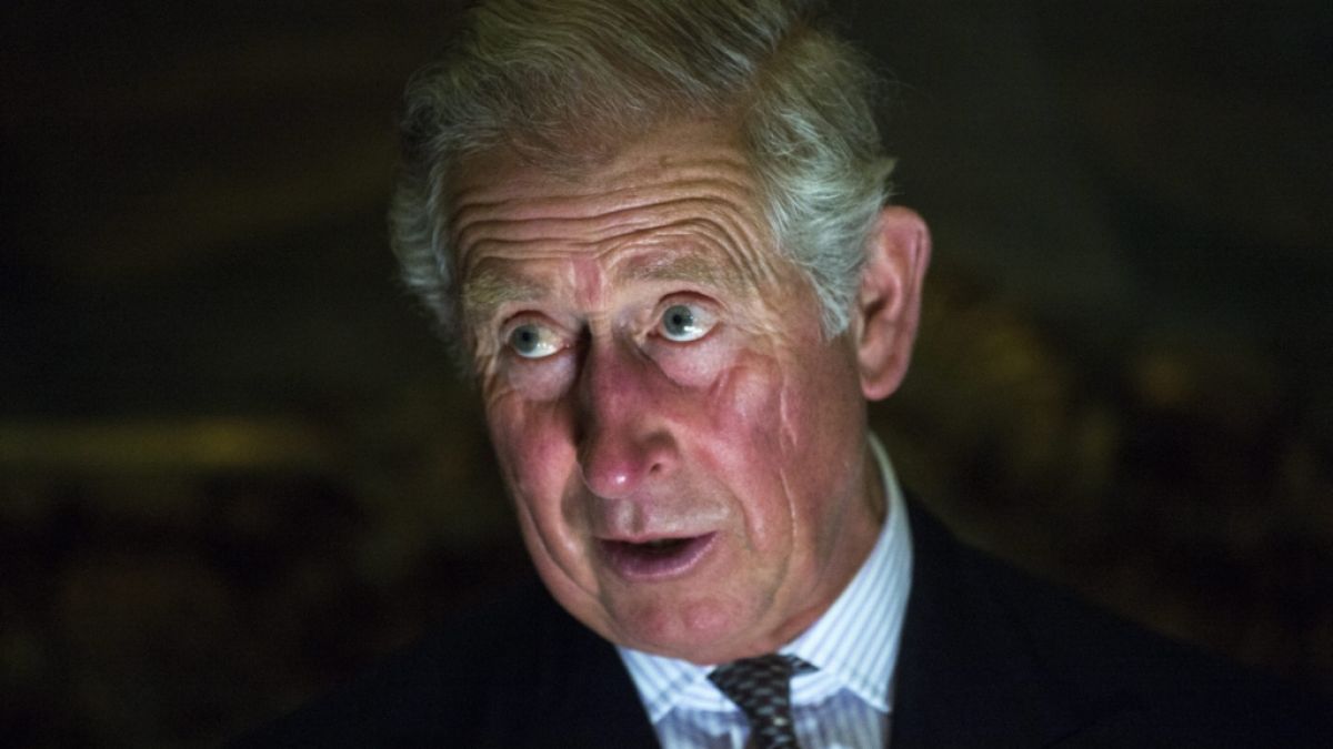Prinz Charles ist immer für einen Schnappschuss gut. (Foto)