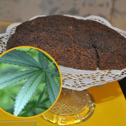 Hanf-Kuchen legt Freundeskreis lahm Hanf-Kuchen legt Freundeskreis lahm (Foto)