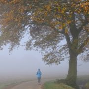Der Feiertag am Montag, 3. Oktober, startet mit Herbst-Nebel. Der Feiertag am Montag, 3. Oktober, startet mit Herbst-Nebel.