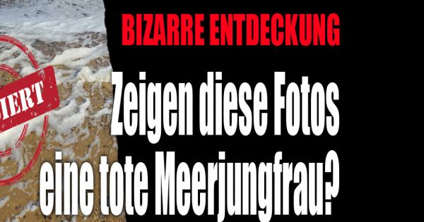 Bizarre Entdeckung Zeigen Diese Fotos Eine Tote Meerjungfrau News De