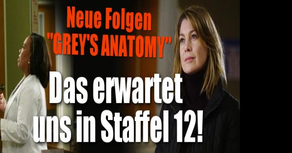Greys Anatomy Schauen Greys Anatomy Schauen