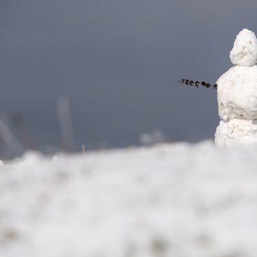 Der erste Schnee fällt schon! Hier sorgt Tief Danielle für weiße Pracht Der erste Schnee fällt schon! Hier sorgt Tief Danielle für weiße Pracht (Foto)
