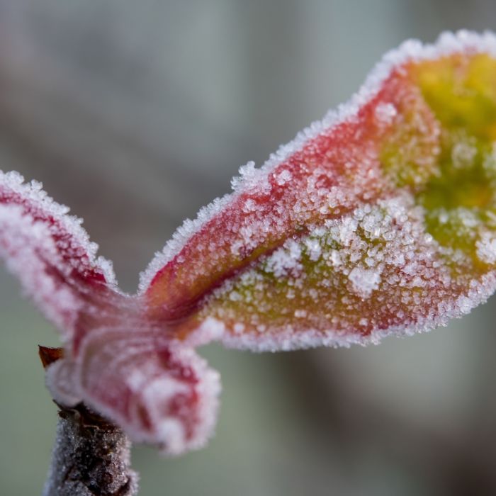 Winterfest! Das sollten sie unbedingt in diesem Monat erledigen Winterfest! Das sollten sie unbedingt in diesem Monat erledigen (Foto)