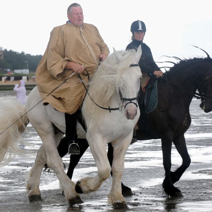 Schock-Unfall! Tamme Hankens Frau rast gegen Baum Schock-Unfall! Tamme Hankens Frau rast gegen Baum (Foto)
