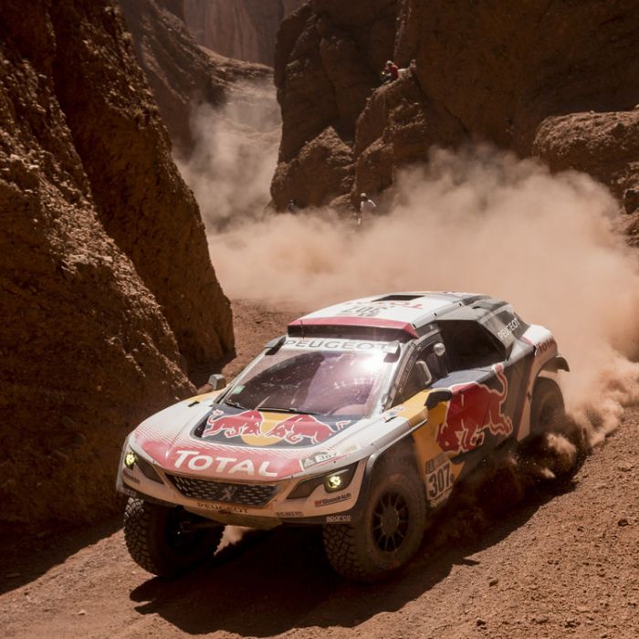 Peterhansel gewinnt Dakar-Rallye bereits zum 13. Mal Peterhansel gewinnt Dakar-Rallye bereits zum 13. Mal (Foto)