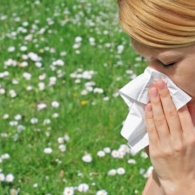 Vorsicht, Frühblüher! Diese Pollen ärgern Allergiker schon jetzt Vorsicht, Frühblüher! Diese Pollen ärgern Allergiker schon jetzt (Foto)