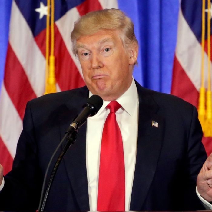 Motte mit Mini-Penis nach Donald Trump benannt Motte mit Mini-Penis nach Donald Trump benannt (Foto)