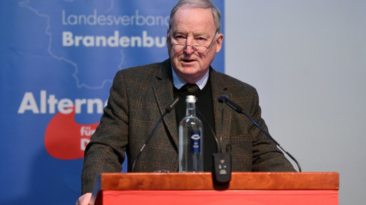 Gauland gibt AfD-Spitzenposten in Brandenburg für Bundestagswahl auf (Foto)