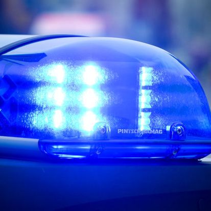 Wollny-Tochter angeblich in Verfolgungsjagd verwickelt Wollny-Tochter angeblich in Verfolgungsjagd verwickelt (Foto)