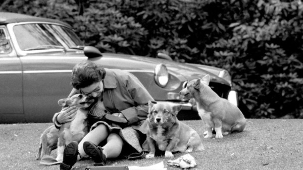 Ihr Leidenschaft für Hunde hat die Queen auch heute noch. (Foto)