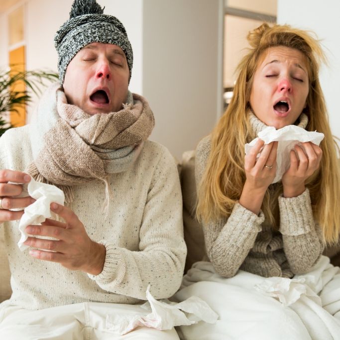 Grippewelle 2017 - Das ist der Unterschied zwischen Erkältung und Influenza Grippewelle 2017 - Das ist der Unterschied zwischen Erkältung und Influenza (Foto)