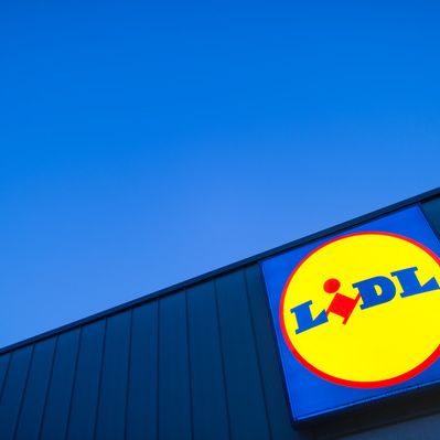 Bakterien-Alarm! Lidl ruft Vollmilch zurück Bakterien-Alarm! Lidl ruft Vollmilch zurück (Foto)