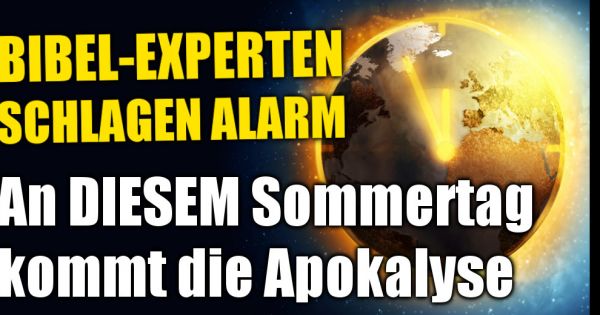 Experten Schlagen Alarm: Thc Coach Müller Und Die Gefahr Für Den Ludwigsburg Chef! - 1q50jfq