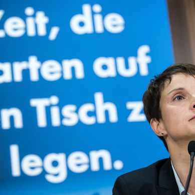 Das steckt hinter der Fassade der AfD Das steckt hinter der Fassade der AfD (Foto)