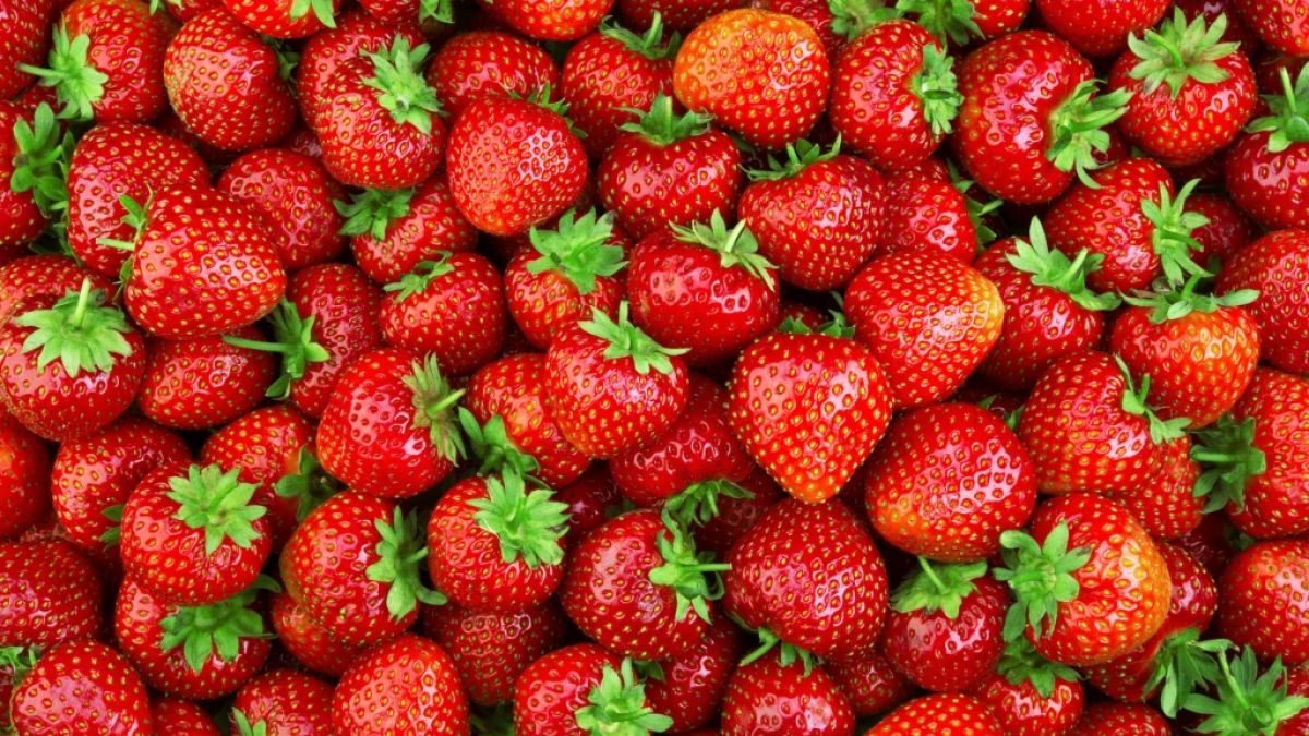 Sind Erdbeeren von Aldi wirklich so gefährlich? (Foto)