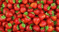 Sind Erdbeeren von Aldi wirklich so gefährlich?