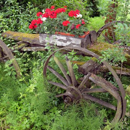 Der Frühsommer ist da! Das ist jetzt im Garten zu tun Der Frühsommer ist da! Das ist jetzt im Garten zu tun (Foto)