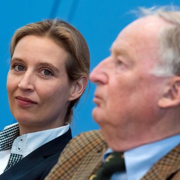 DAS ist das Programm der Alternative für Deutschland DAS ist das Programm der Alternative für Deutschland (Foto)