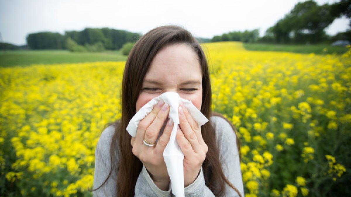 Die Saison für Pollenallergiker hat noch lange kein Ende. Ein "Wundermittel" soll nun die Symptome lindern. (Foto)