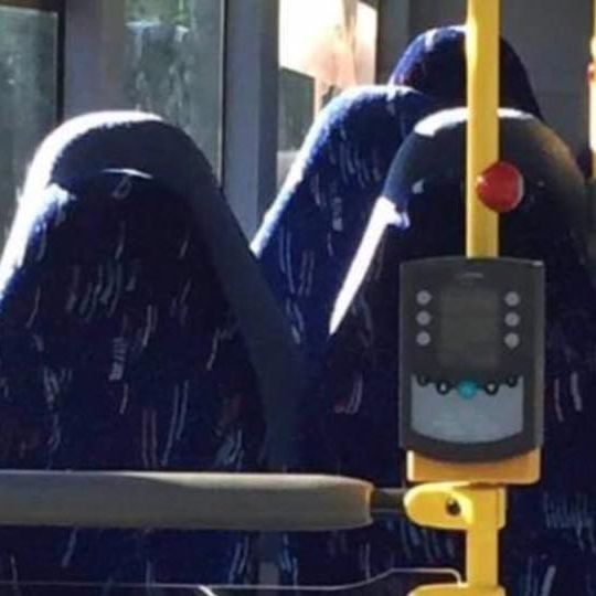 Nazi-Deppen verwechseln Bussitze mit Frauen in Burkas (Foto)
