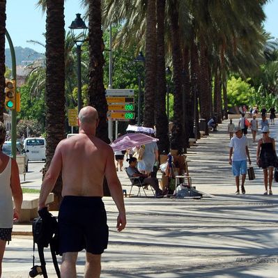 Hitzetote auf Mallorca! Wann kommt endlich Abkühlung? Hitzetote auf Mallorca! Wann kommt endlich Abkühlung? (Foto)
