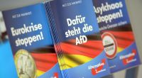 Die Alternative für Deutschland hat zur Bundestagswahl 2017 ein 73-seitiges Wahlprogramm vorgelegt.