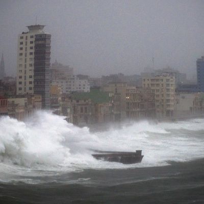 Erste Tote in Florida! 4,5 Meter hohe Sturmflut erwartet Erste Tote in Florida! 4,5 Meter hohe Sturmflut erwartet (Foto)
