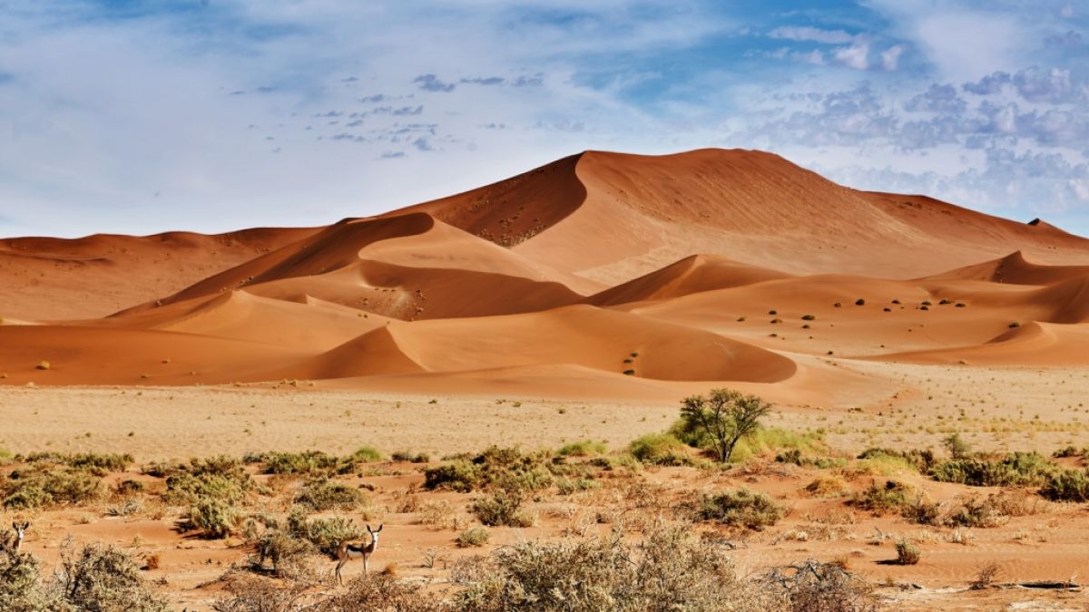 Haben wir in Deutschland auch bald eine Sahara-Wüste? (Foto)