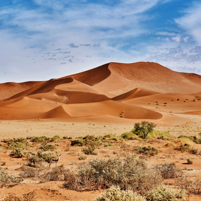 Klima-Schock! Sahara-Wüste in Deutschland möglich