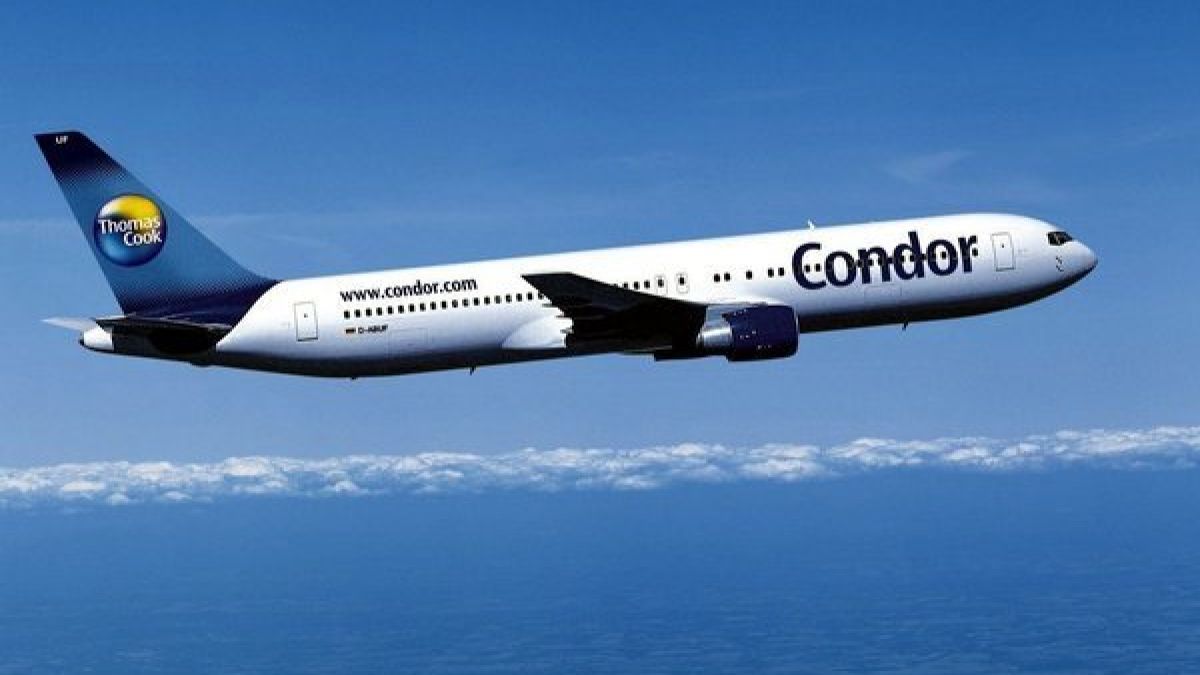Condor hat mit einem Sex-Skandal zu kämpfen. (Foto)