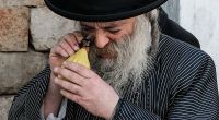 Ein orthodoxer Jude inspiziert eine Etrog.