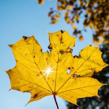 Goldener Herbst im Anmarsch! Wird es jetzt nochmal warm? Goldener Herbst im Anmarsch! Wird es jetzt nochmal warm? (Foto)