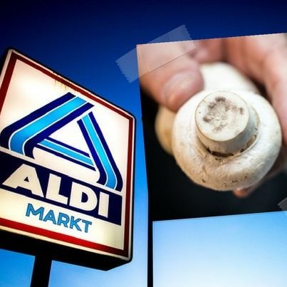 Aldi-Champignons zurückgerufen Aldi-Champignons zurückgerufen (Foto)