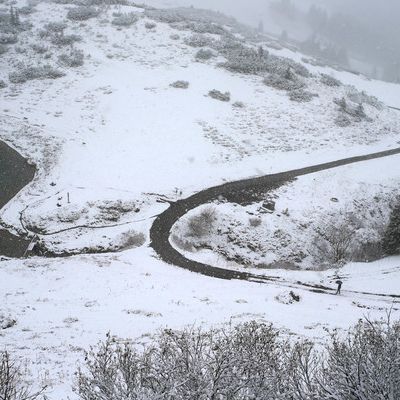 Der 1. Schnee kommt - Es wird frostig! Der 1. Schnee kommt - Es wird frostig! (Foto)