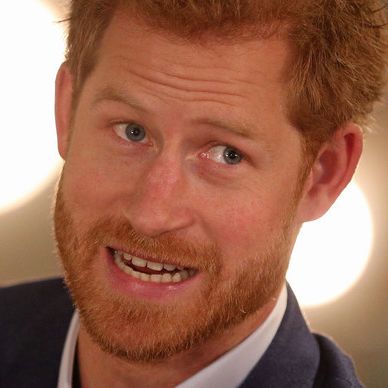 Schock! Osama bin Laden wollte Harry töten Schock! Osama bin Laden wollte Harry töten (Foto)